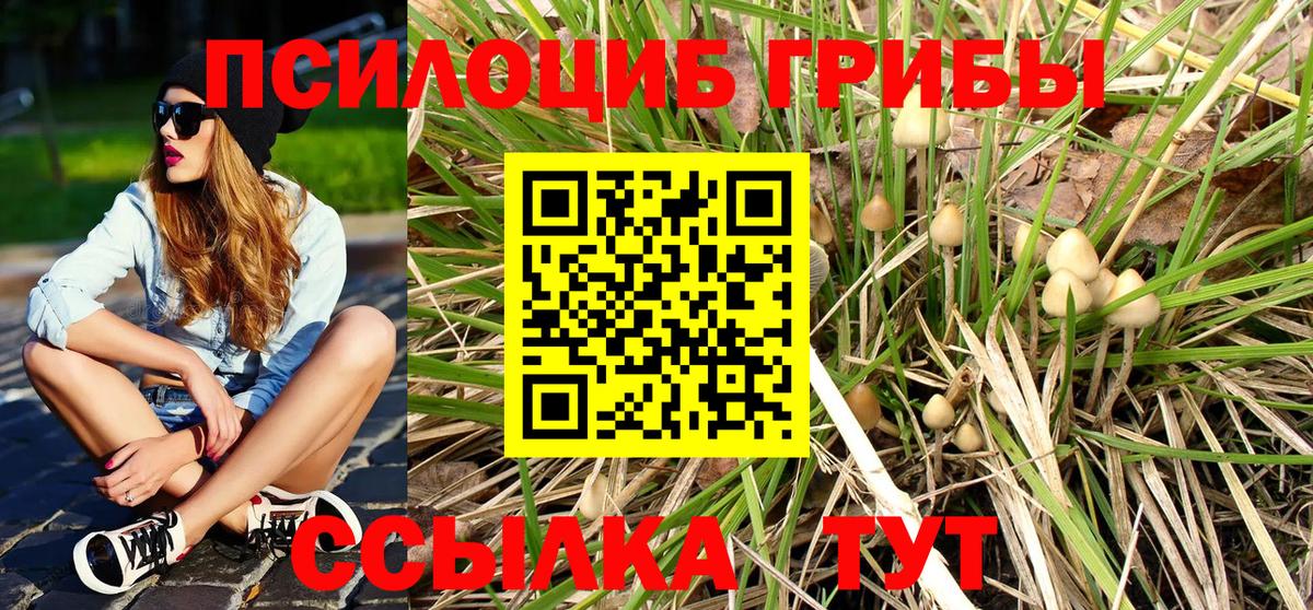 Галлюциногенные грибы Cubensis  где найти   Кумертау  Вход с VPN 